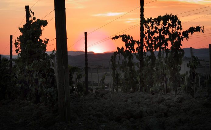 vigna tra 4 2